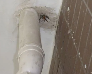 深圳市漏水检测哪家好